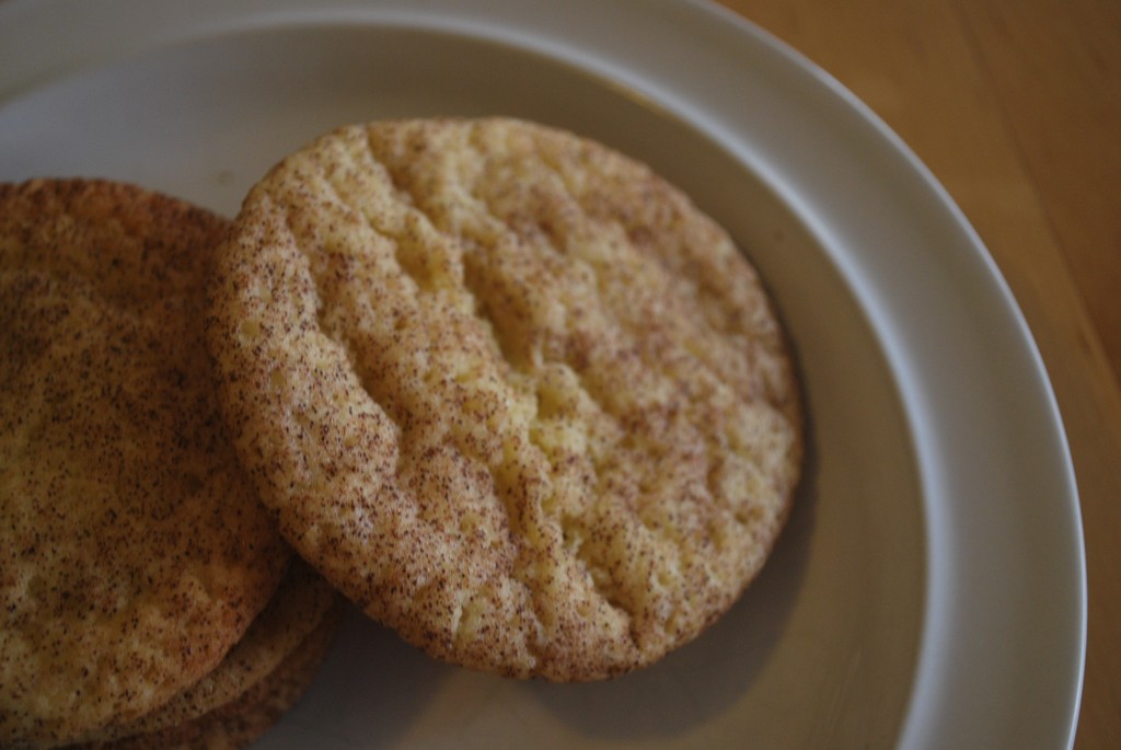 Cinnamon Biscuit