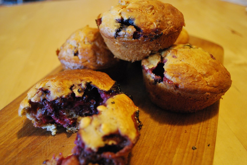 Berry and Oat Muffins